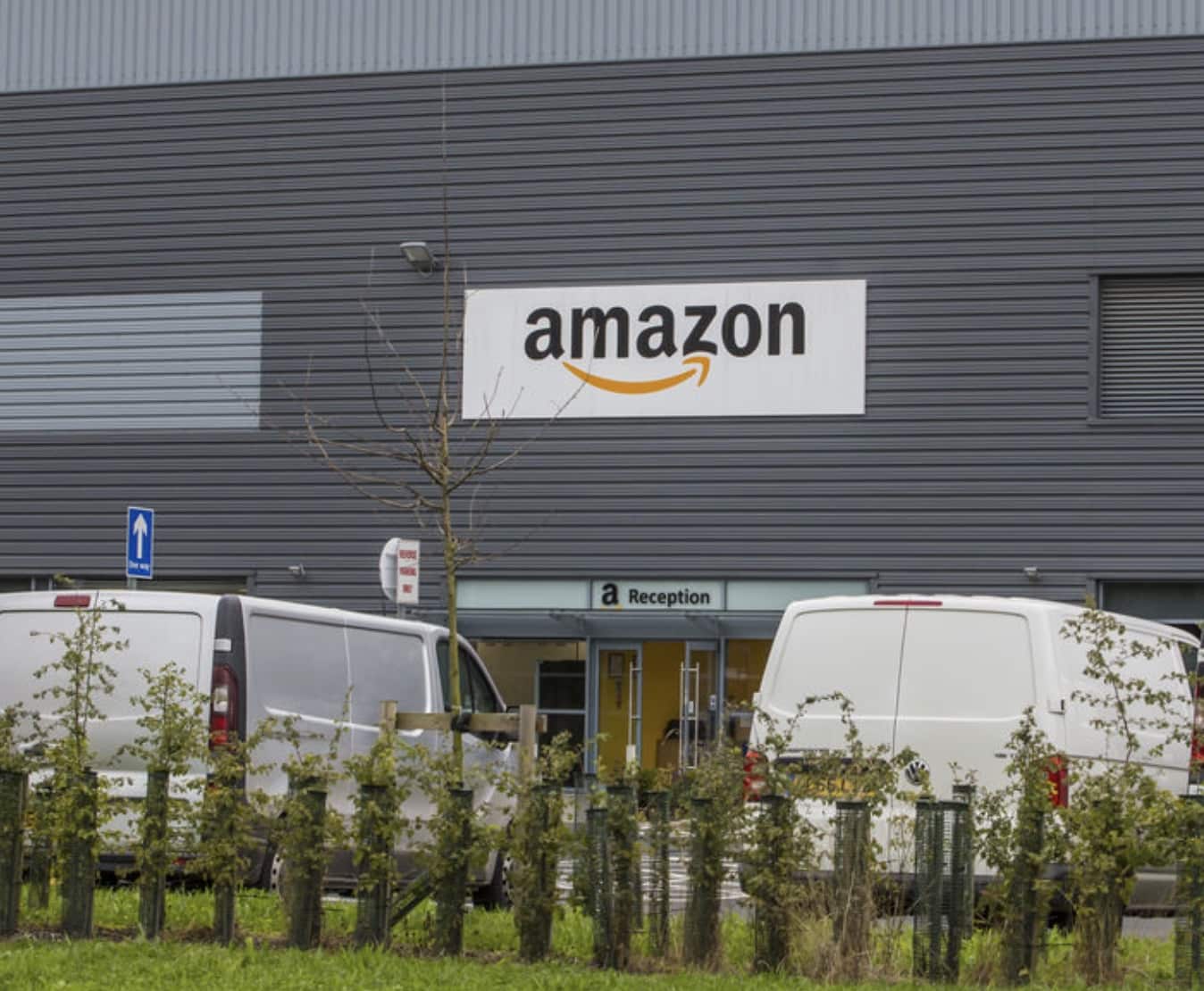 Amazon Metz